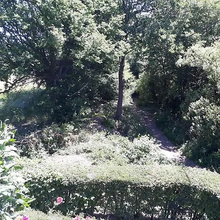 Maison d'hôtes Au Jardin Fleuri *