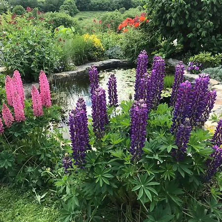 Au Jardin Fleuri Pensjonat Verviers