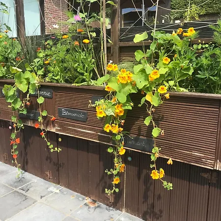 Casa de hóspedes Au Jardin Fleuri Verviers